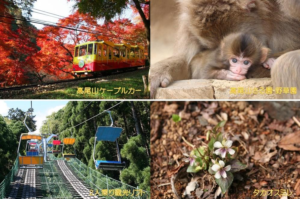 高尾登山電鉄株式会社