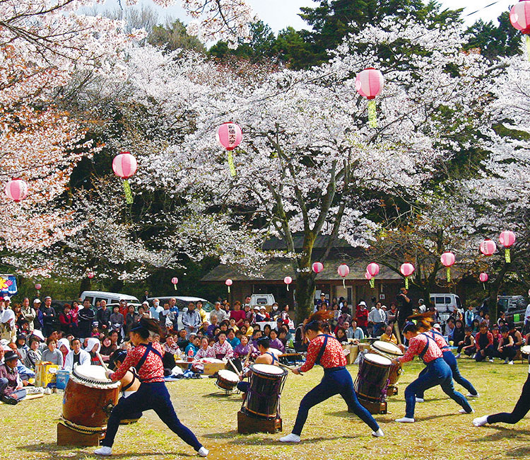 滝山城跡桜まつり